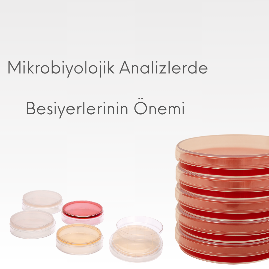 Mikrobiyolojik Analizlerde Besiyerlerinin Önemi