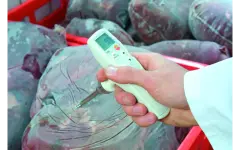 TESTO | 105 Gıda Termometresi