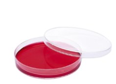 İSOLAB | Petri Kutusu-P.S-60 x 15 mm-Steril A
