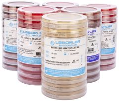 LB.122 - KING B AGAR  - 50x90mm - Hazır Besiyeri