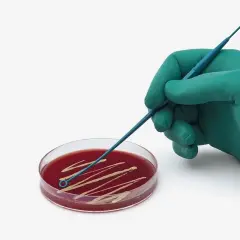 İSOLAB | ÖZE- HIPS Steril 1ul